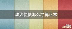 幼犬便便怎么才算正常
