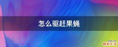 怎么驱赶果蝇