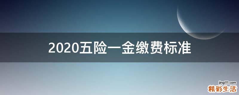 2020五险一金缴费标准