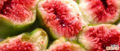 无花果和鸡蛋能一起吃吗 无花果炖鸡蛋的功效