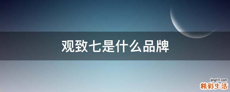 观致七是什么品牌