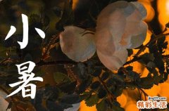 小暑是夏季第几个节气