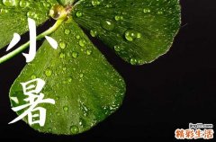 小暑是什么意思含义