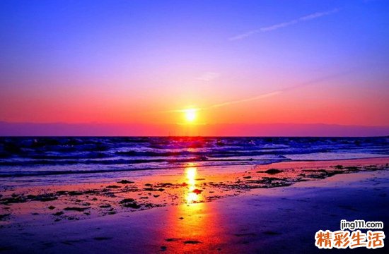 生殖泌尿系统滴虫病 泌尿生殖系滴虫病