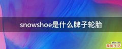 snowshoe是什么牌子轮胎