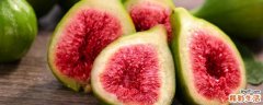 无花果下火还是上火 无花果一天吃多少最好