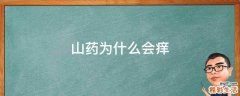 山药为什么会痒