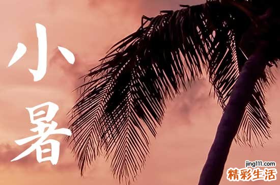 小暑为什么要吃藕