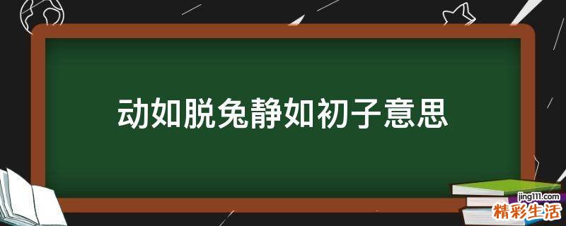 动如脱兔静如初子意思