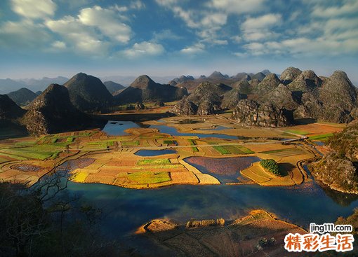 香花刺