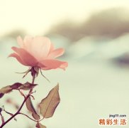 宝宝反复呼吸道感染