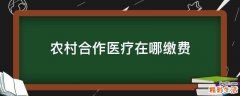 农村合作医疗在哪缴费