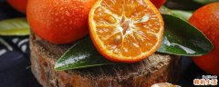 沃柑和橙子哪个营养价值高 沃柑是橙子的一种吗