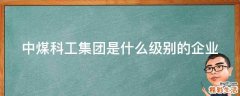 中煤科工集团是什么级别的企业