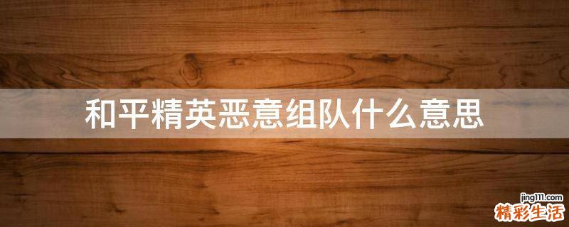 和平精英恶意组队什么意思