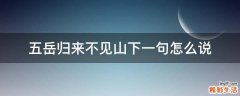 五岳归来不见山下一句怎么说
