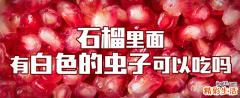 石榴里面有白色的虫子可以吃吗 石榴能连籽一起吃吗