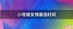 小母猪发情最佳时间