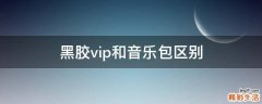 黑胶vip和音乐包区别