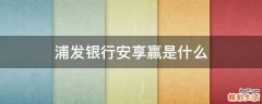 浦发银行安享赢是什么