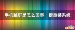 手机跳屏是怎么回事一键重装系统