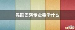 舞蹈表演专业要学什么