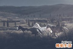 肺实变是怎么回事？