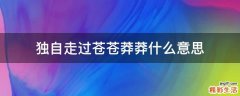 独自走过苍苍莽莽什么意思