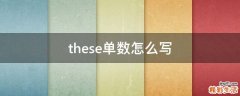 these单数怎么写