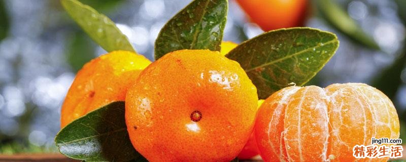 砂糖橘发霉了其他的还可以吃吗 不小心吃了发霉的橘子怎么办