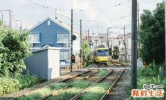 PaA 胰腺特异性抗原