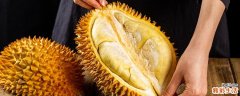 榴莲扒开之后有点硬没熟怎么办 没开口的榴莲要放几天才能熟
