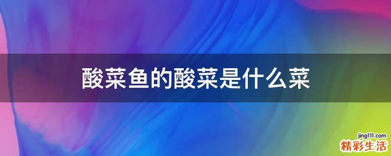 酸菜鱼的酸菜是什么菜