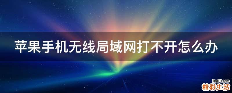 苹果手机无线局域网打不开怎么办