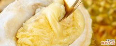 榴莲扒开了硬的没熟咋办 榴莲冷冻好吃还是冷藏好吃