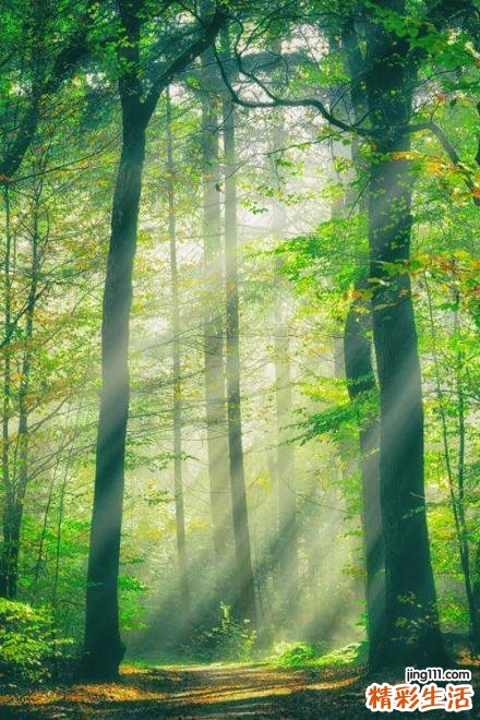 口腔溃疡是怎么引起的