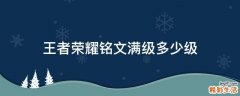 王者荣耀铭文满级多少级
