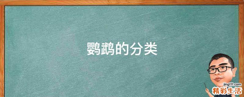 鹦鹉的分类
