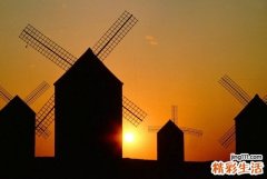 家族特发性肌阵挛引发什么疾病