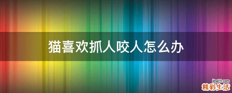 猫喜欢抓人咬人怎么办