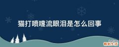 猫打喷嚏流眼泪是怎么回事