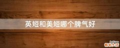 英短和美短哪个脾气好