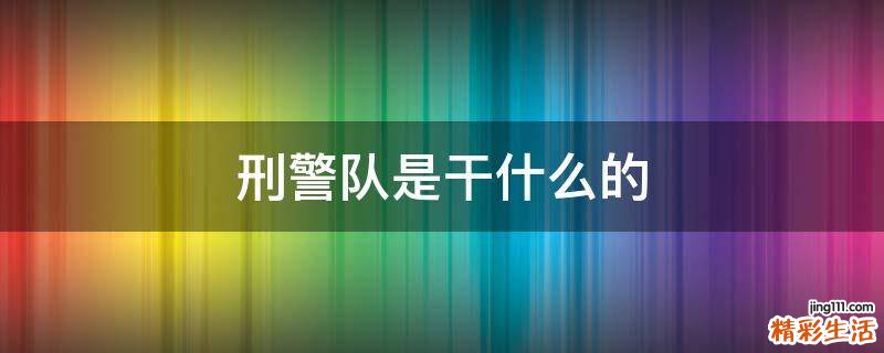 刑警队是干什么的