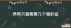 养两只猫需要几个猫砂盆