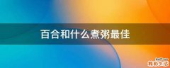 百合和什么煮粥最佳