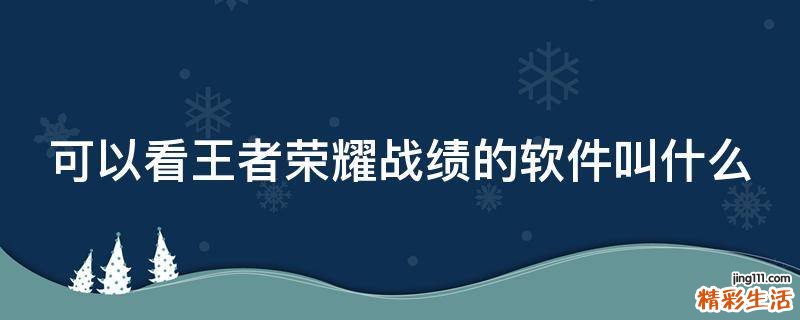 可以看王者荣耀战绩的软件叫什么