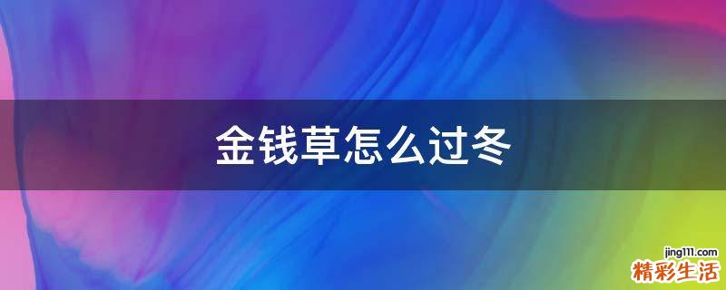 金钱草怎么过冬