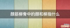 颜筋柳骨中的颜和柳指什么