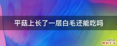 平菇上长了一层白毛还能吃吗