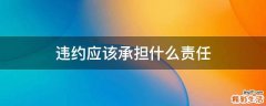 违约应该承担什么责任
